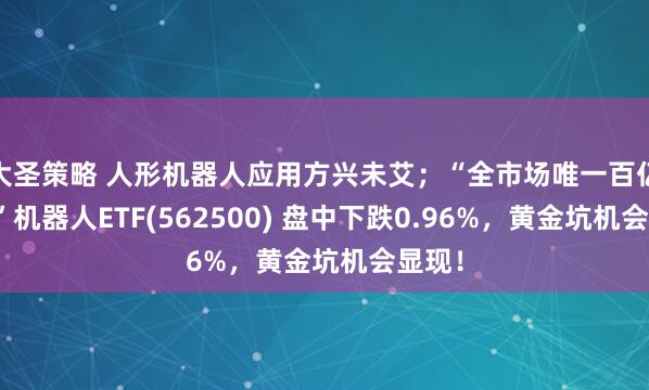 大圣策略 人形机器人应用方兴未艾；“全市场唯一百亿规模”机器人ETF(562500) 盘中下跌0.96%，黄金坑机会显现！