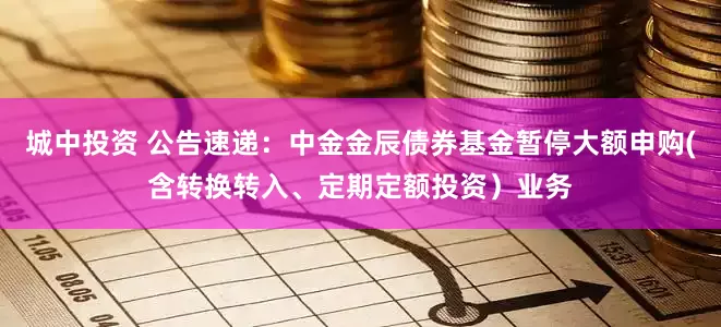 城中投资 公告速递：中金金辰债券基金暂停大额申购(含转换转入、定期定额投资）业务